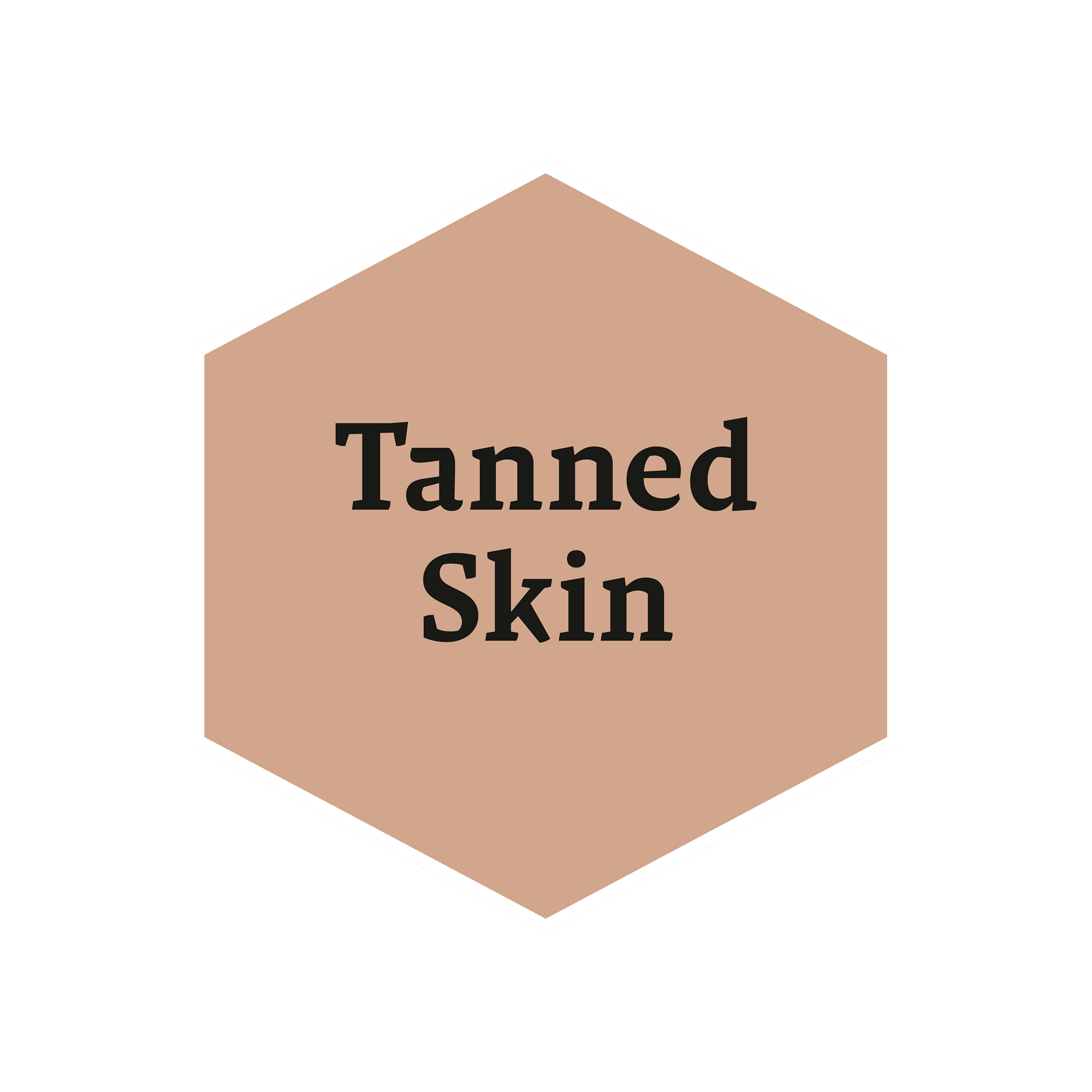 the-army-painter-warpaints-historical-tanned-skin-peinture-chair image 2