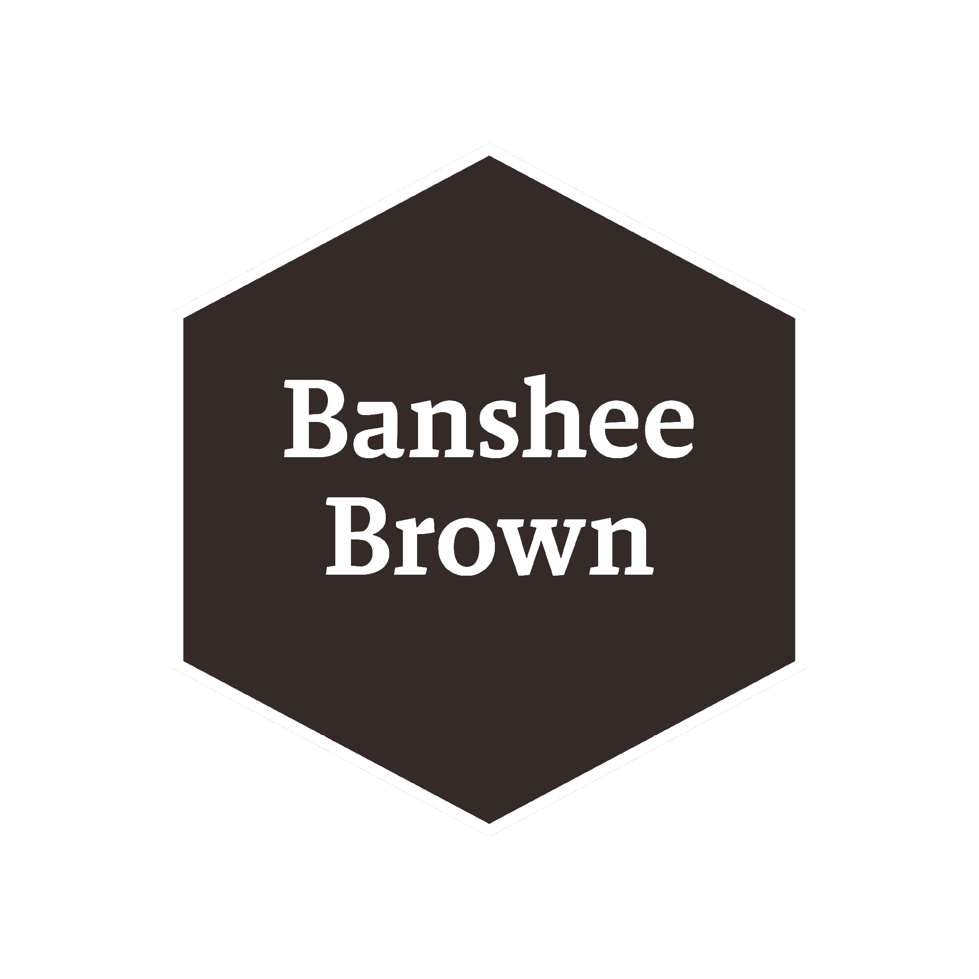 army-painter-masterclass-banshee-brown-peinture-marron-18ml image 2