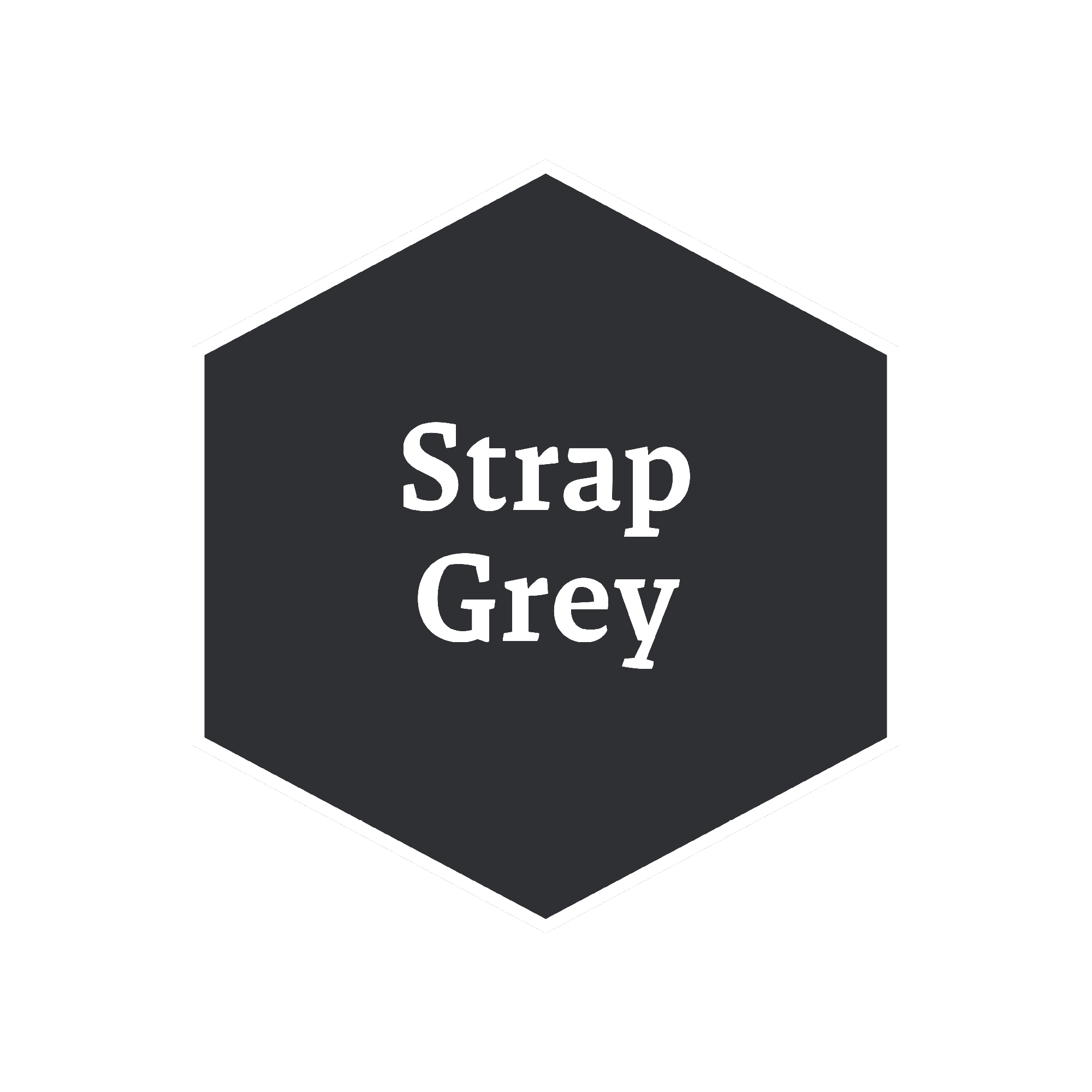 the-army-painter-warpaints-historical-strap-grey-peinture-gris image 2