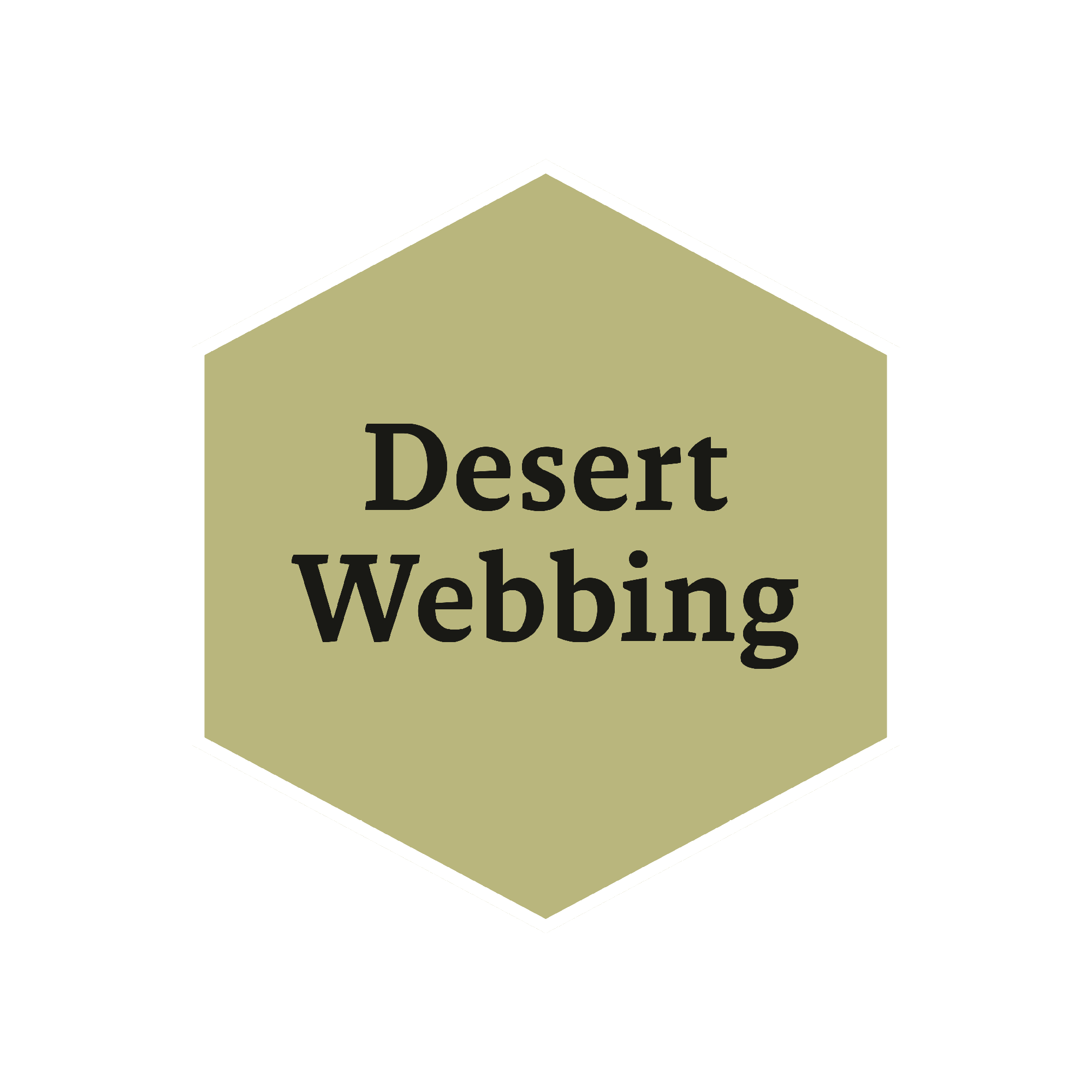the-army-painter-historical-desert-webbing-peinture-sangle image 2
