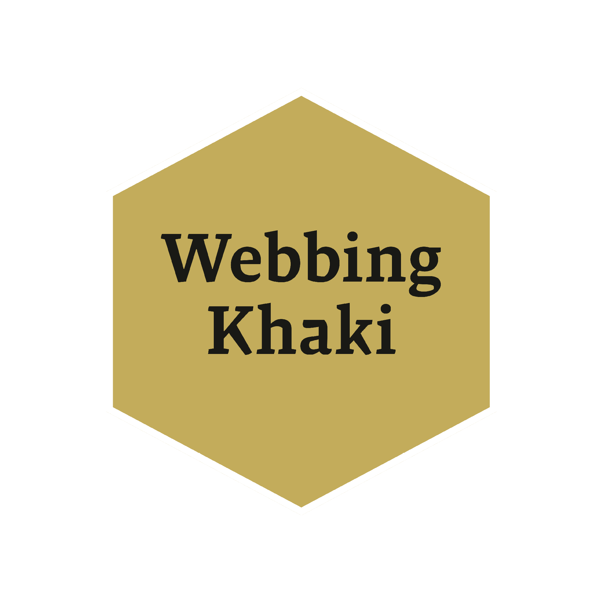 the-army-painter-historical-webbing-khaki-peinture-kaki image 2