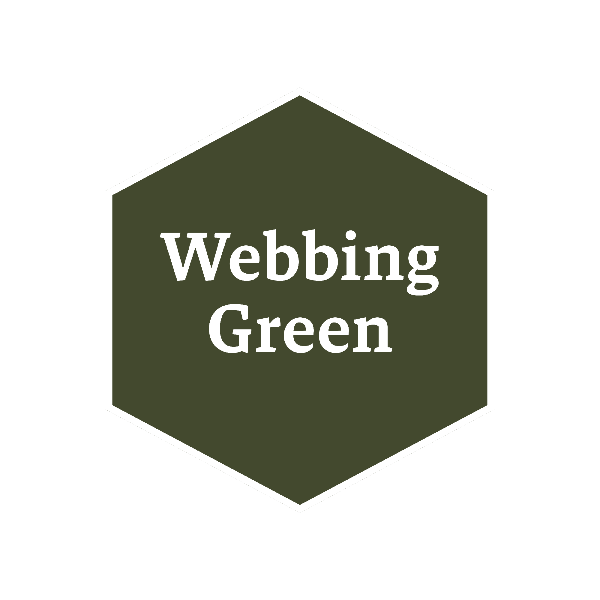 the-army-painter-historical-webbing-green-peinture-vert image 2